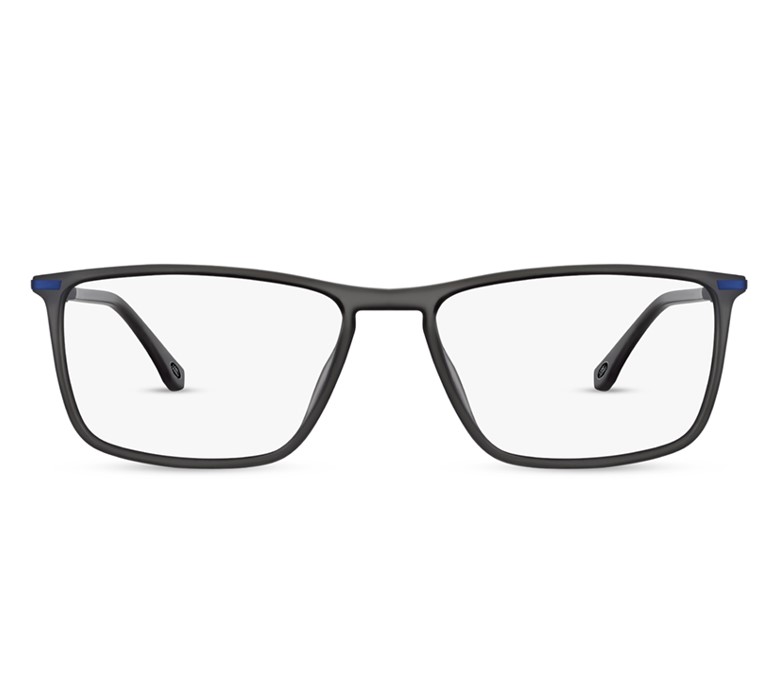 LAND ROVER BRIGHAM-e GRY