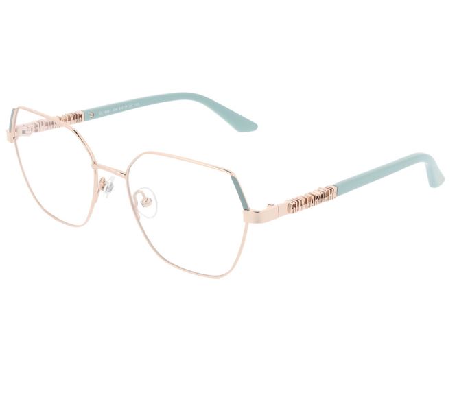 GUY LAROCHE GL76667 234